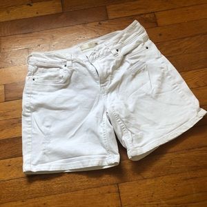 💜Route 66 Distressed Shorts